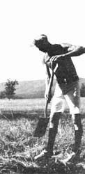 Alan Chadwik at Virginia